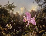 Orchid and Two Hummingburds